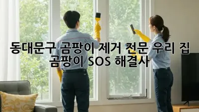 🏡 동대문구 곰팡이 제거 전문! 우리 집 곰팡이 SOS 해결사 🦸‍♀️