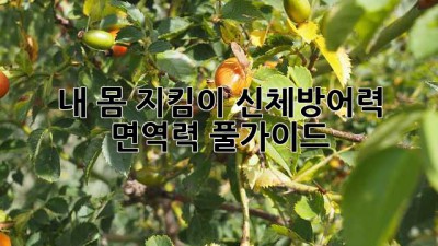 💪 내 몸 지킴이! 신체방어력 면역력 풀가이드 🛡️