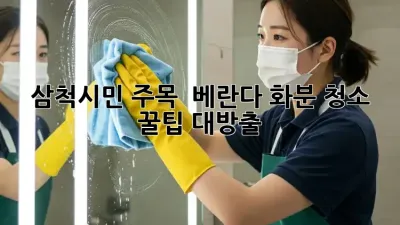 삼척시민 주목! ✨ 베란다 화분 청소 꿀팁 대방출! 🏡🌿