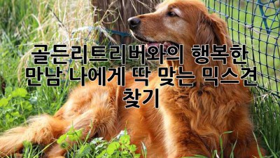 골든리트리버와의 행복한 만남: 나에게 딱 맞는 믹스견 찾기